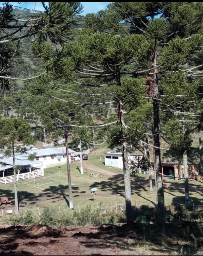 Casa De Temporada Vo Dilon Villa Urubici Exteriör bild